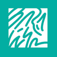 Wyzarudo https://tarorichi.carrd.co